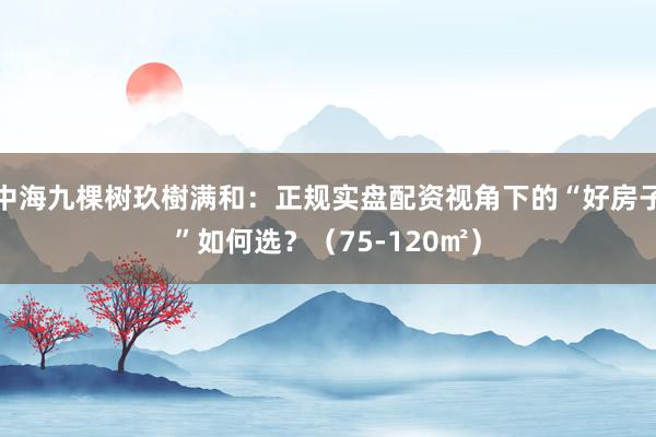 中海九棵树玖樹满和：正规实盘配资视角下的“好房子”如何选？（75-120㎡）