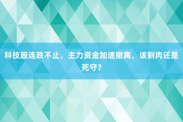科技股连跌不止，主力资金加速撤离，该割肉还是死守？