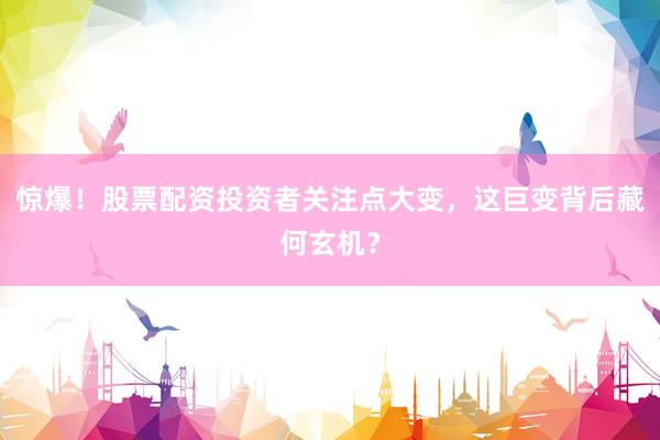 惊爆！股票配资投资者关注点大变，这巨变背后藏何玄机？