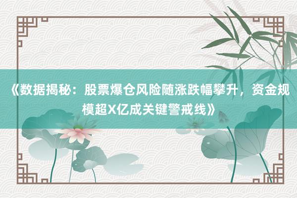 《数据揭秘：股票爆仓风险随涨跌幅攀升，资金规模超X亿成关键警戒线》