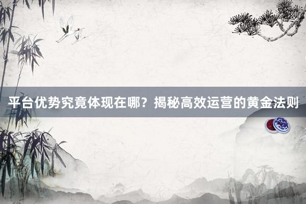平台优势究竟体现在哪？揭秘高效运营的黄金法则